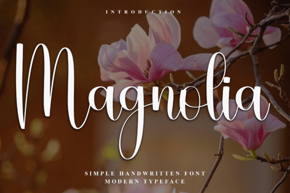 Magnolia Typeface: Evaluating Its Fit for Holiday Design Projects